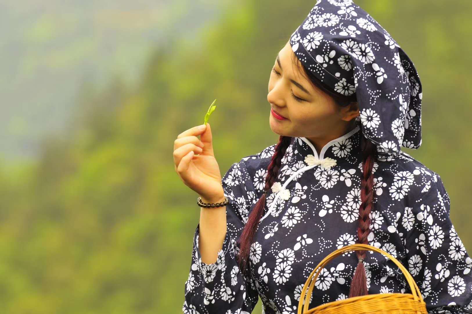 红安县林业局茶旅示范基地项目工程正式启动