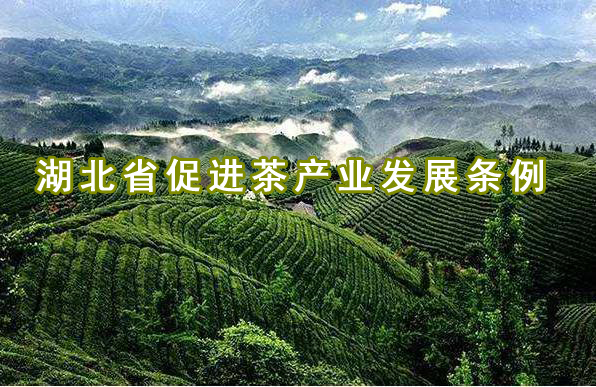 为茶立法通过！《湖北省促进茶产业发展条例》将于2021年5月1日起实施