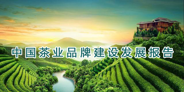 中国茶业品牌建设发展报告