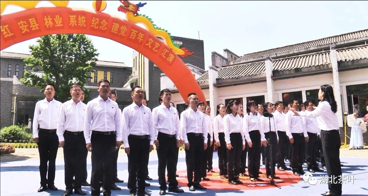 红安第五届老君眉茶文化节开幕 茶园年产值超过4亿元