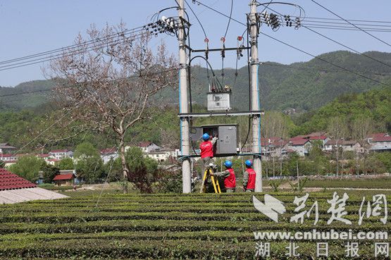 湖北茶叶网（www.hbtea.cn）