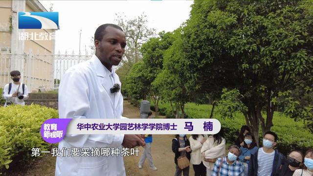 湖北茶叶网(www.hbtea.cn) 湖北茶叶网(www.hbtea.cn)