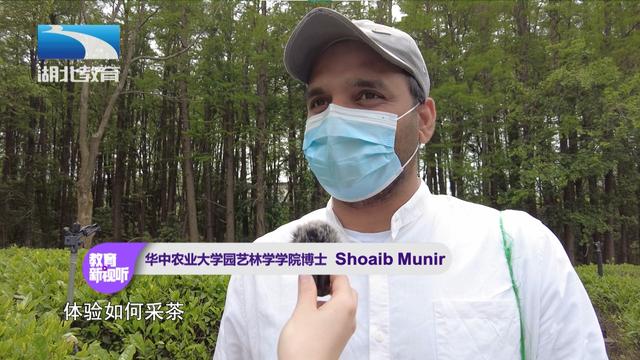 湖北茶叶网(www.hbtea.cn) 湖北茶叶网(www.hbtea.cn)