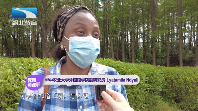 湖北茶叶网(www.hbtea.cn) 湖北茶叶网(www.hbtea.cn)