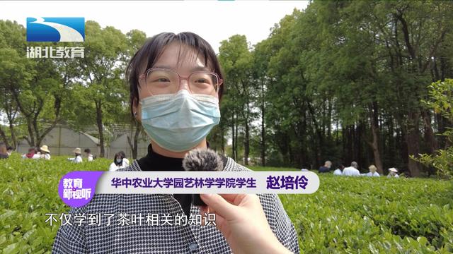 湖北茶叶网(www.hbtea.cn) 湖北茶叶网(www.hbtea.cn)