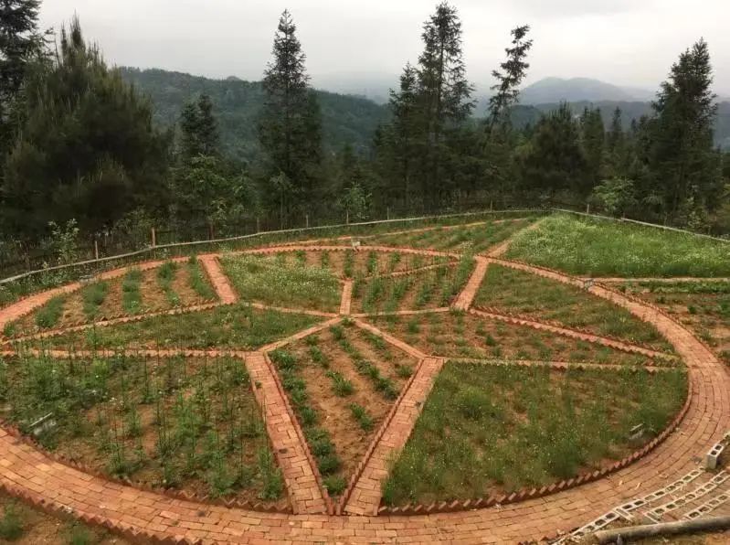 湖北茶叶网（www.hbtea.cn）