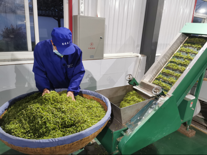 正在上传... 1cb8a887be5632ea3ff3781cbca68e10.png