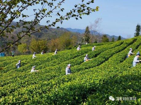 360se_picture (16).jpg