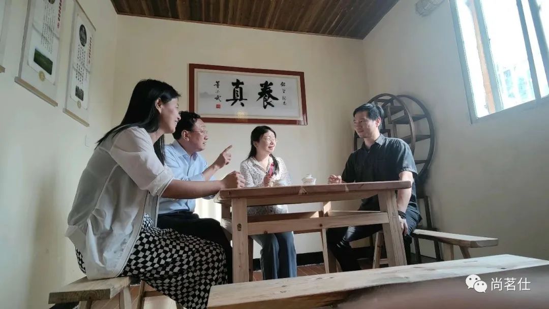 湖北茶叶网考察龟山岩绿 湖北茶叶网考察龟山岩绿