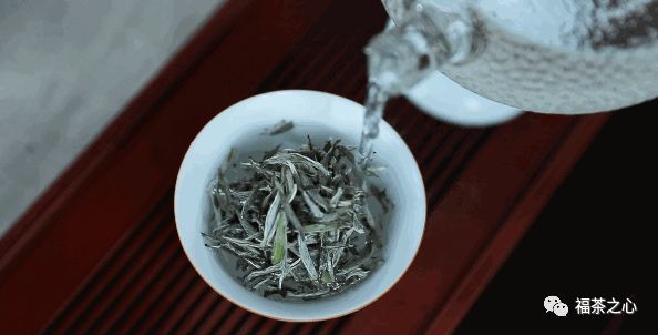 360se_picture (21).jpg