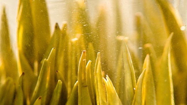 360se_picture (22).jpg