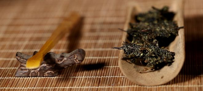 360se_picture (25).jpg