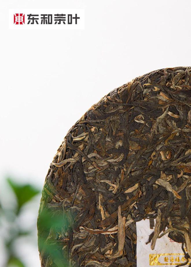 360se_picture (47).jpg