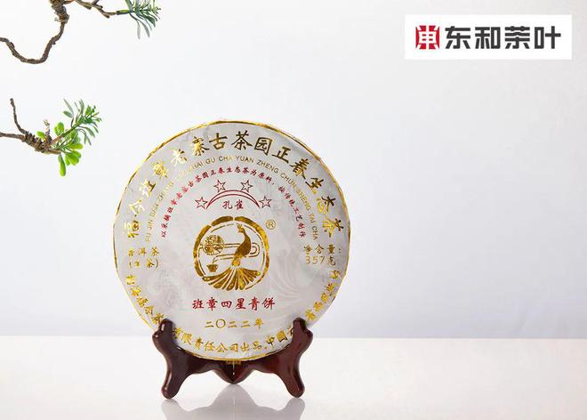 360se_picture (49).jpg