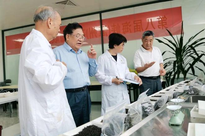 360se_picture (57).jpg