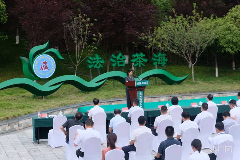 全国首个茶产业环境保护法庭.jpg
