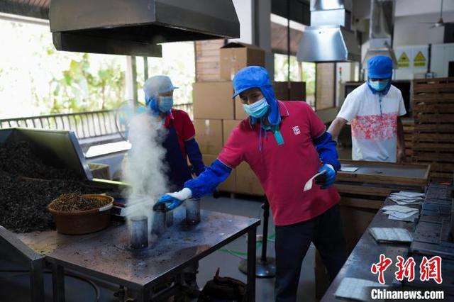 云南“以茶为媒” 打开与世界交流的窗口 云南“以茶为媒” 打开与世界交流的窗口