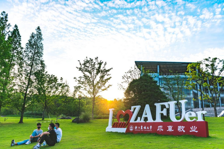 出海观茶 | 浙江农林大学王磊:培养复合型人才 以“新”茶人助推中国茶国际化_fororder_浙江农林大学王磊210