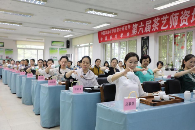 出海观茶|中国农科院茶叶研究所江用文: 合力培养茶产业人才 助推茶产业高质量发展_fororder_(国际在线)出海观茶-中国茶叶研究所江用文968