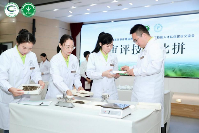 出海观茶|中国农科院茶叶研究所江用文: 合力培养茶产业人才 助推茶产业高质量发展_fororder_(国际在线)出海观茶-中国茶叶研究所江用文1835