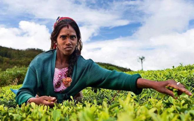 360se_picture (11).jpg