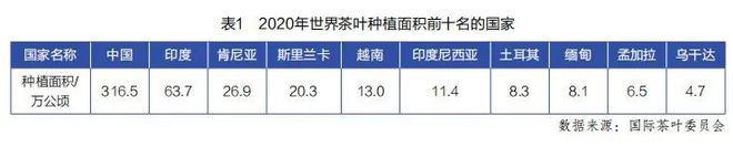 360se_picture (13).jpg