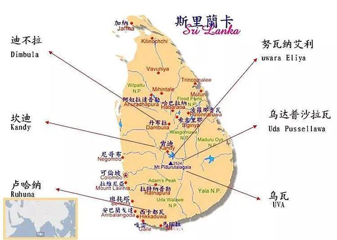 360se_picture (15).jpg