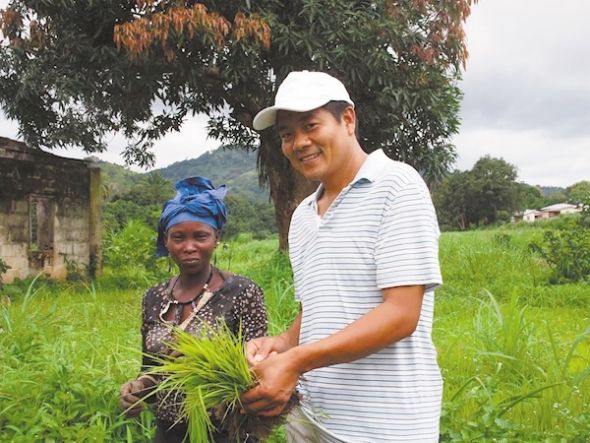 援外专家在非洲指导水稻种植。 援外专家在非洲指导水稻种植。
