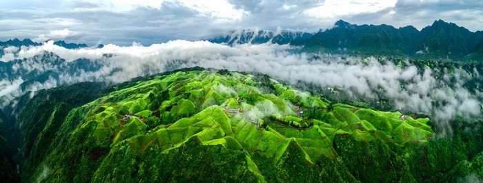 6369b44d0cf2f4c8ae6c4c94