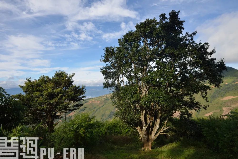 邦崴考察.jpg 图片