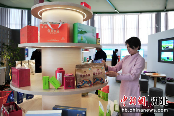 张国荣 摄 张国荣 摄