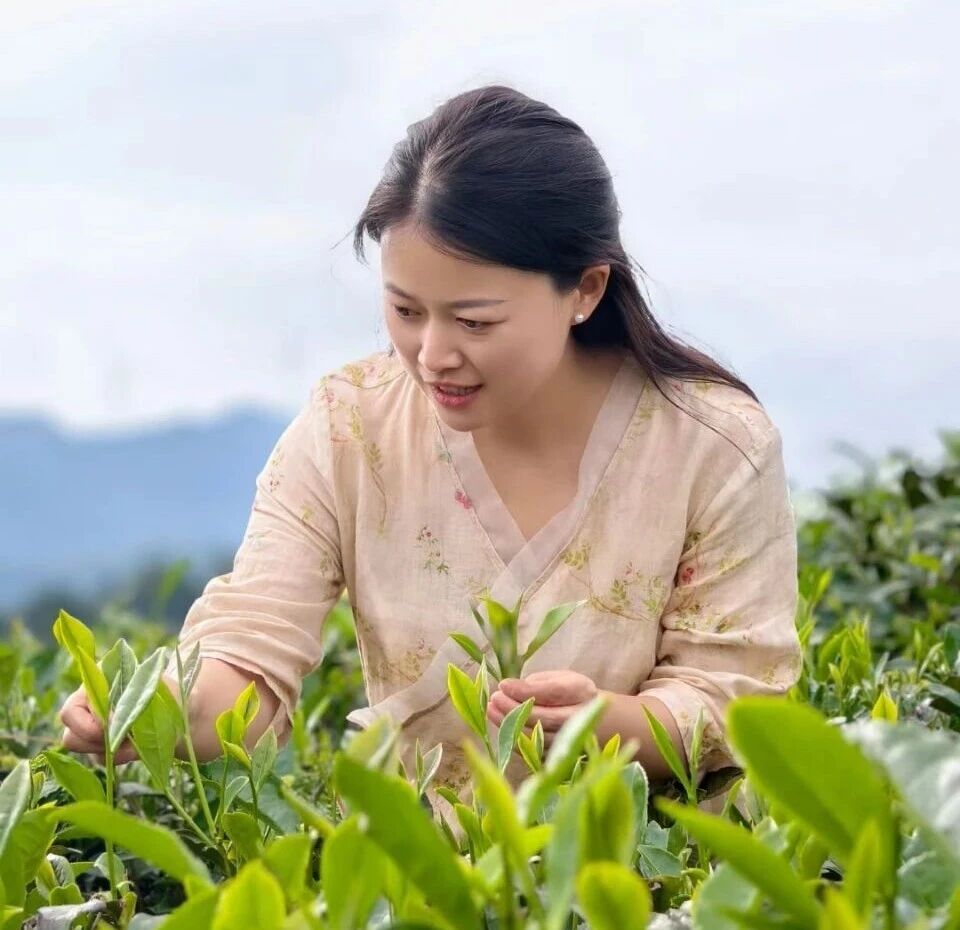 --湖北绿色梦农业开发有限公司总经理周平