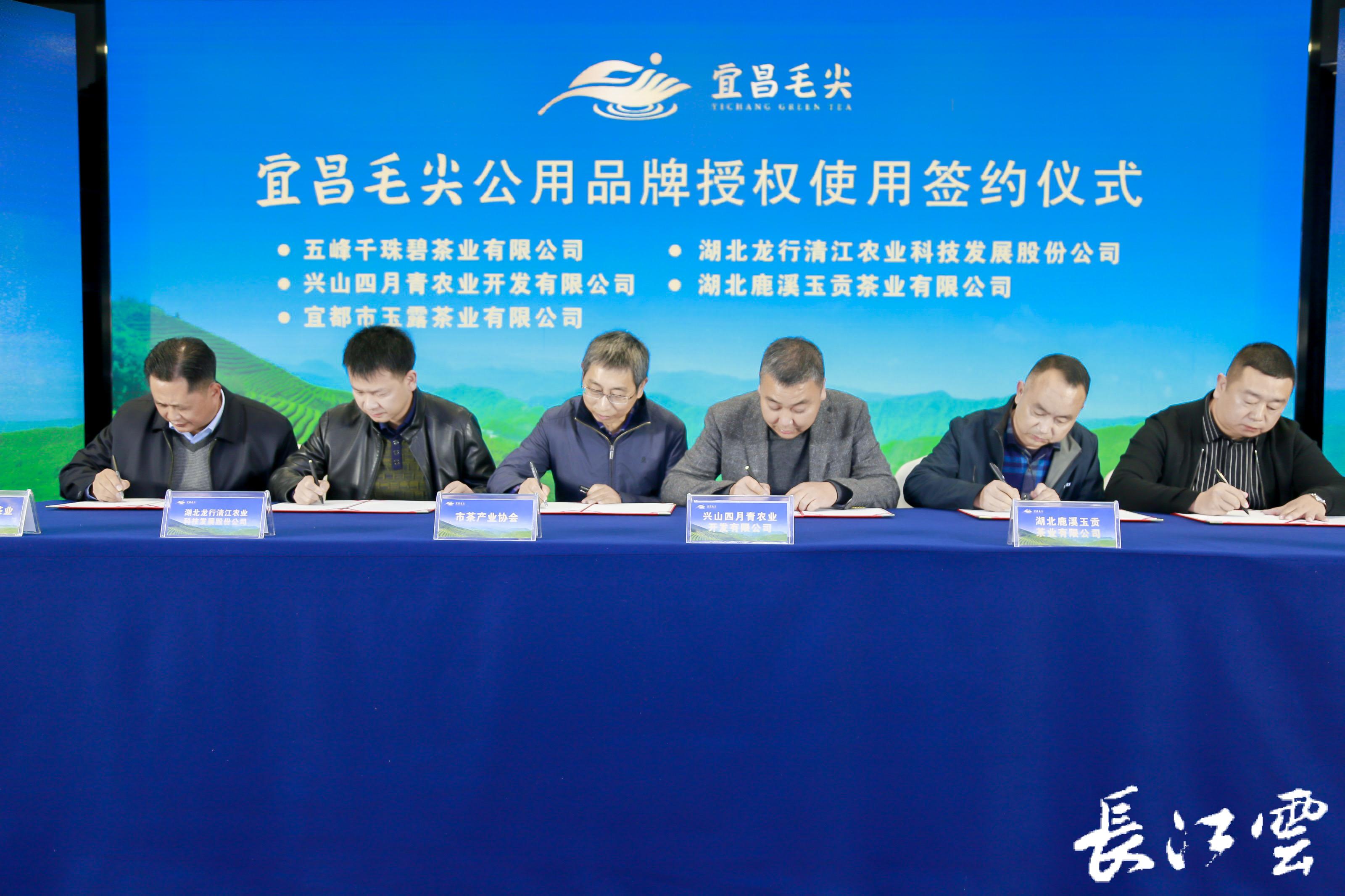 “宜昌毛尖”区域公用品牌有了新形象！