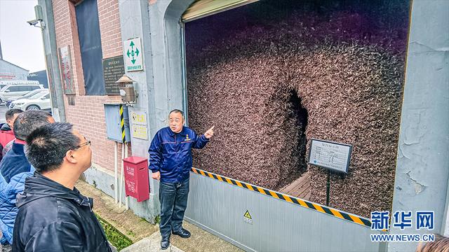 赤壁：茶旅融合开辟脱贫致富新路径