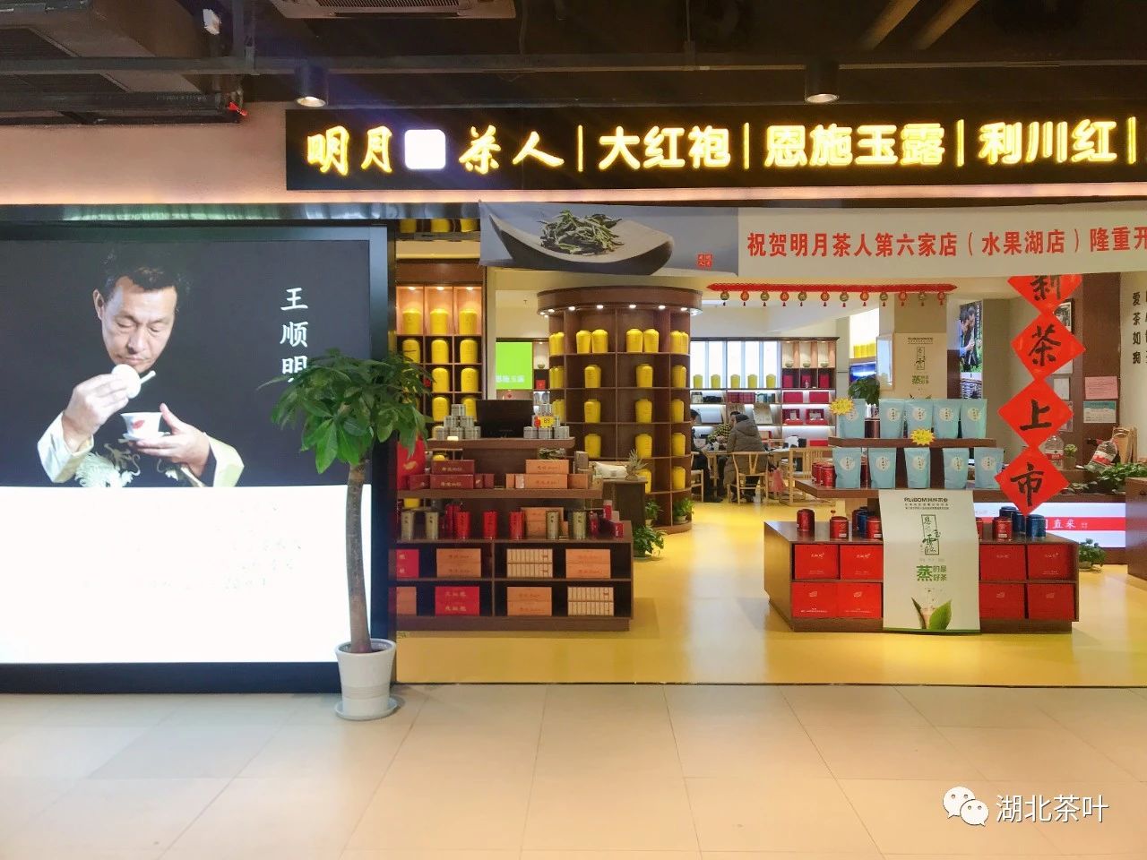 武汉明月茶人茶馆广纳贤才