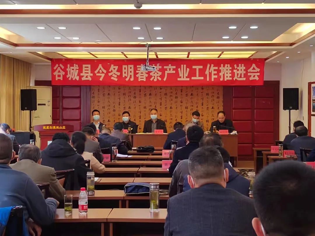 谷城县今冬明春茶产业工作推进会在玉皇剑顺利召开