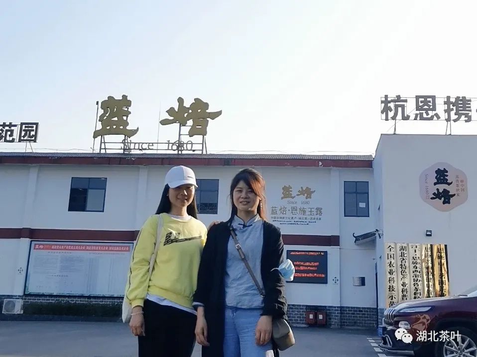 恩施玉露头采春茶将上，湖北茶叶网赴“蓝焙”考“茶”