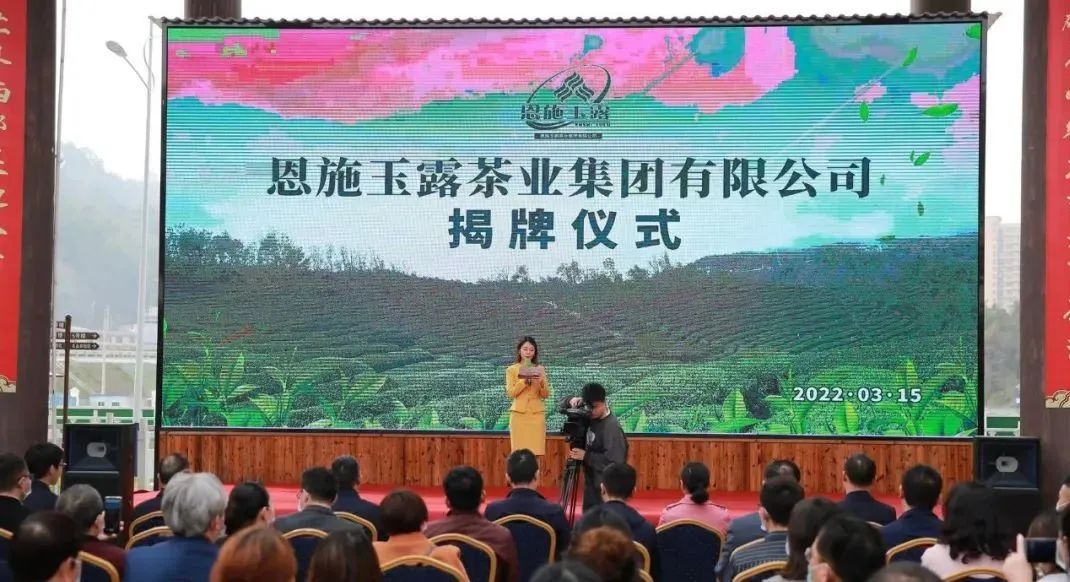 恩施玉露茶业集团有限公司挂牌成立