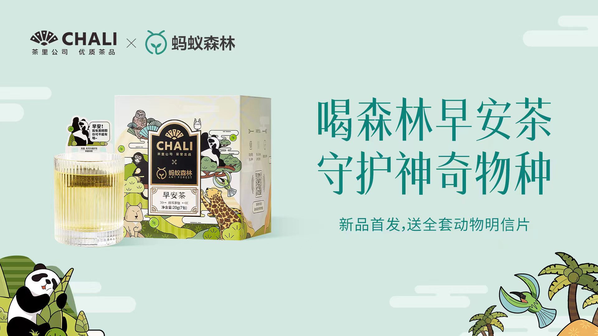 CHALI茶里联合蚂蚁森林推出早安茶,喝茶还能助力工益?