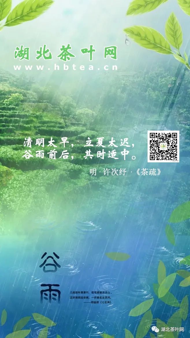 今日谷雨，宜用茶