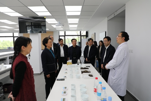 中国国际茶文化研究会会长乔传秀一行至中国茶叶学会考察