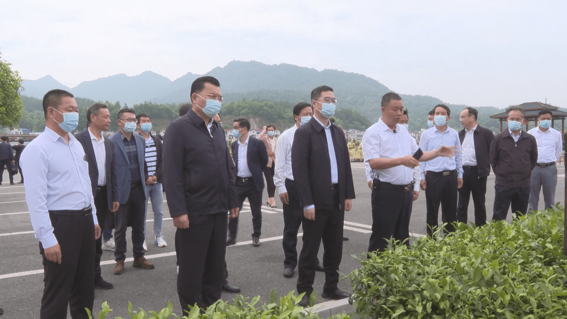 宁咏在英山调研茶产业高质量发展