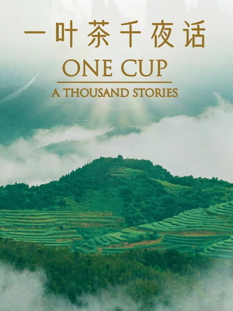 BBC镜头下的中国茶纪录片，凭什么获得百万网友关注？