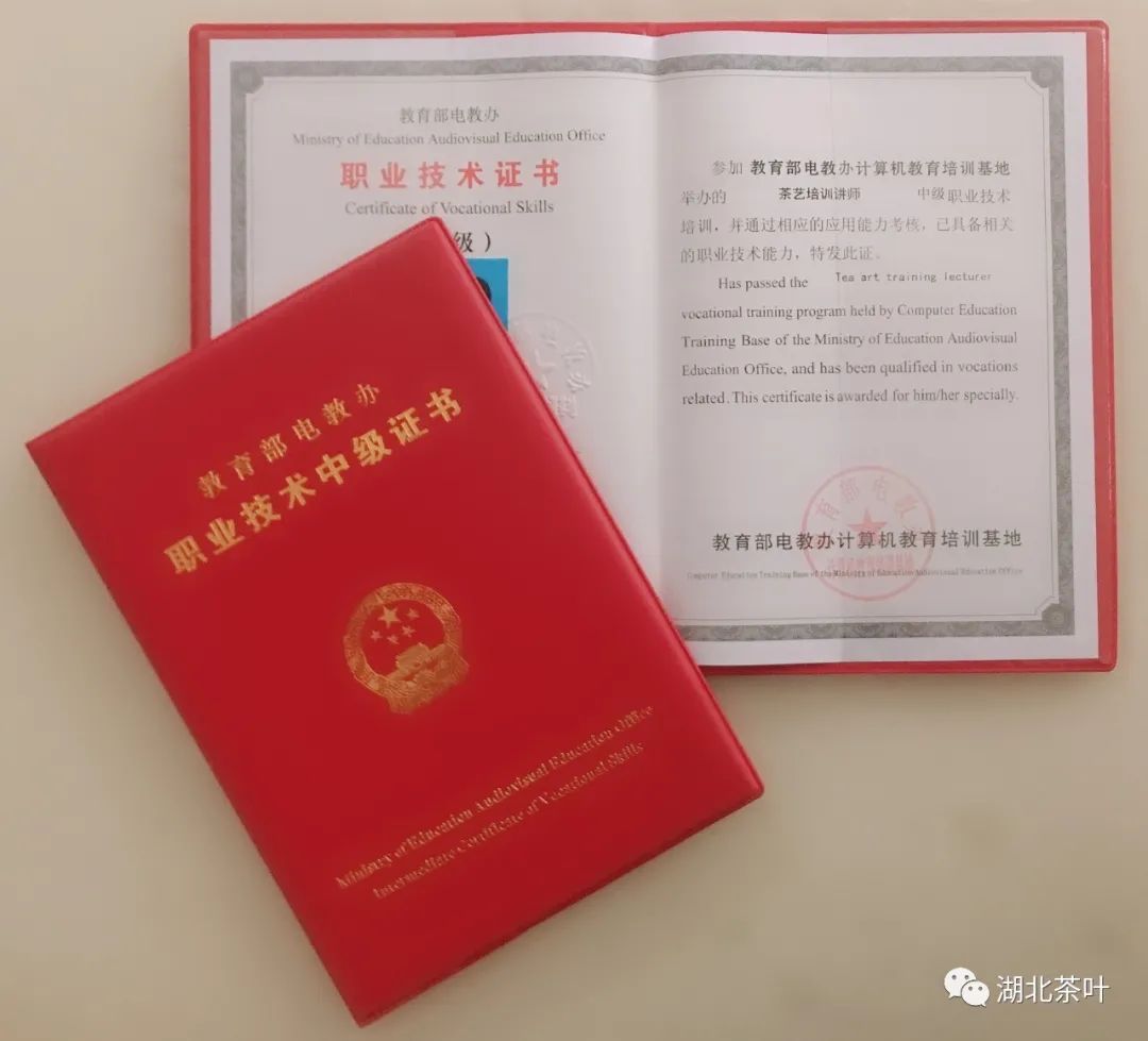 茶艺师| 教育部电教办茶艺讲师班2022招生通知