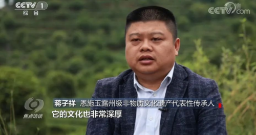 搓茶淡烹新茗，传承古茶本味——蓝焙恩施玉露