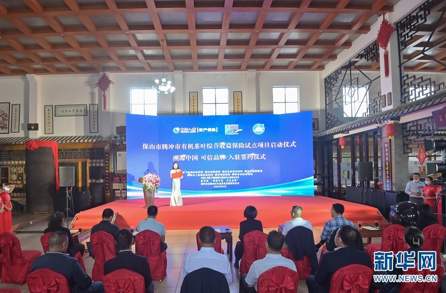 腾冲高黎贡山茶业公司入驻新华网“溯源中国 可信品牌”