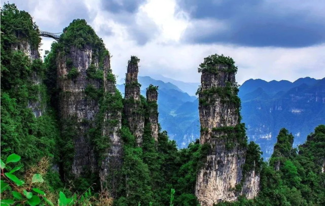 湖北一名茶，曾入十大名茶，差点绝迹，凭啥再次崛起？看完涨知识