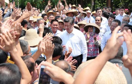 特色产业铺就海口施茶村乡村振兴“幸福路”