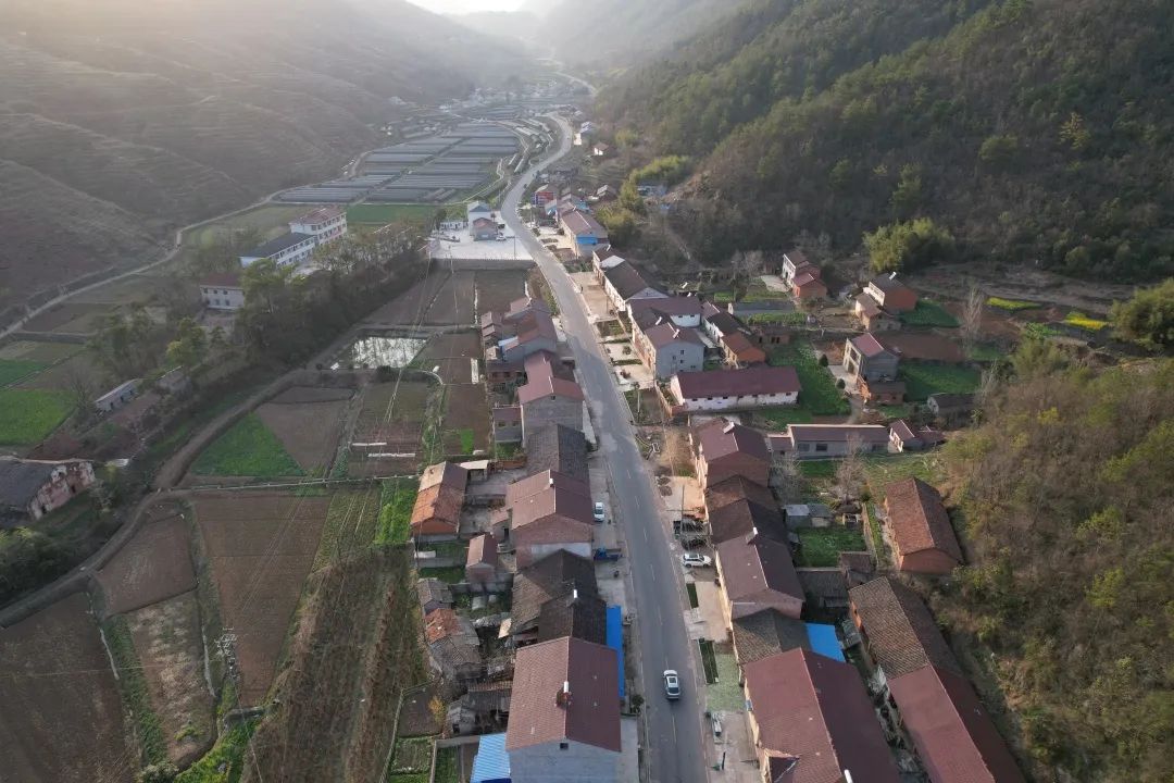 湖北南漳：茶园共话乡村振兴