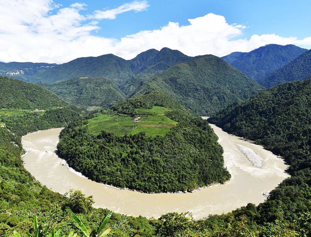 西藏茶产业发展概况与对策